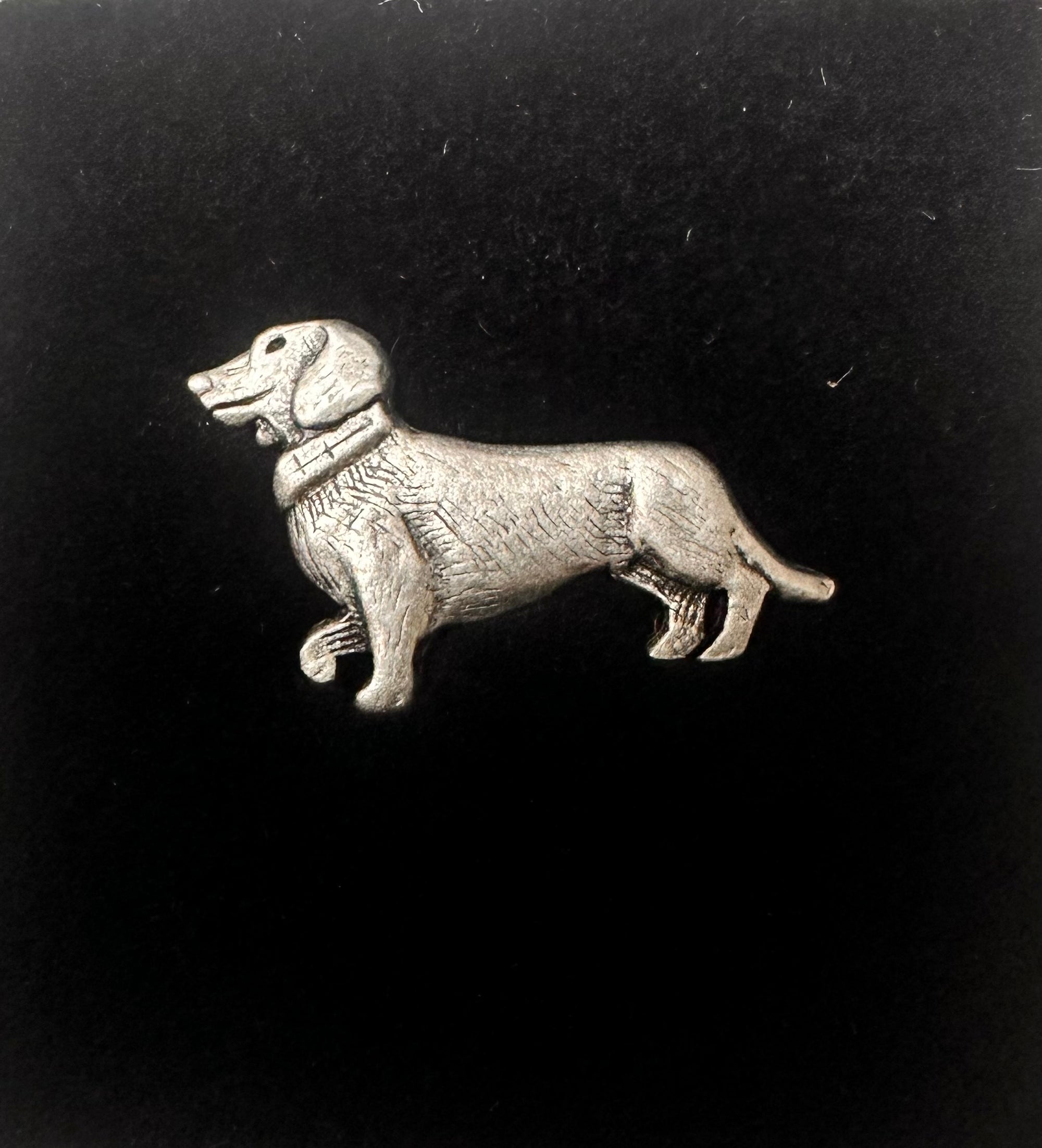 Pin Gaudiknopf "Dashhound"